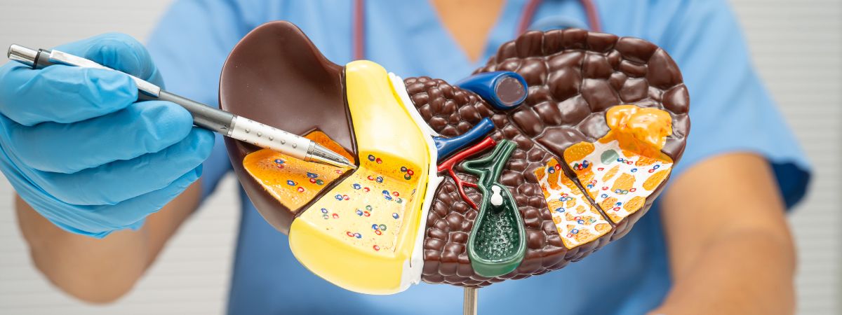 Liver treatment in katy